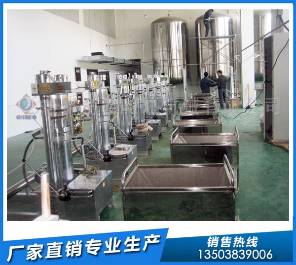 核桃油冷榨设备